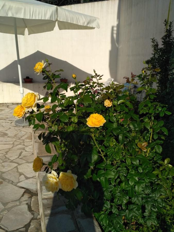 Villa Maria Apartments Kamenari Εξωτερικό φωτογραφία